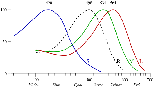  Spectral response of rods and cone cells in human retina 